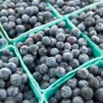Blueberry boxes recalled in July 2025 listeria scare – FDA issues Class I food warning