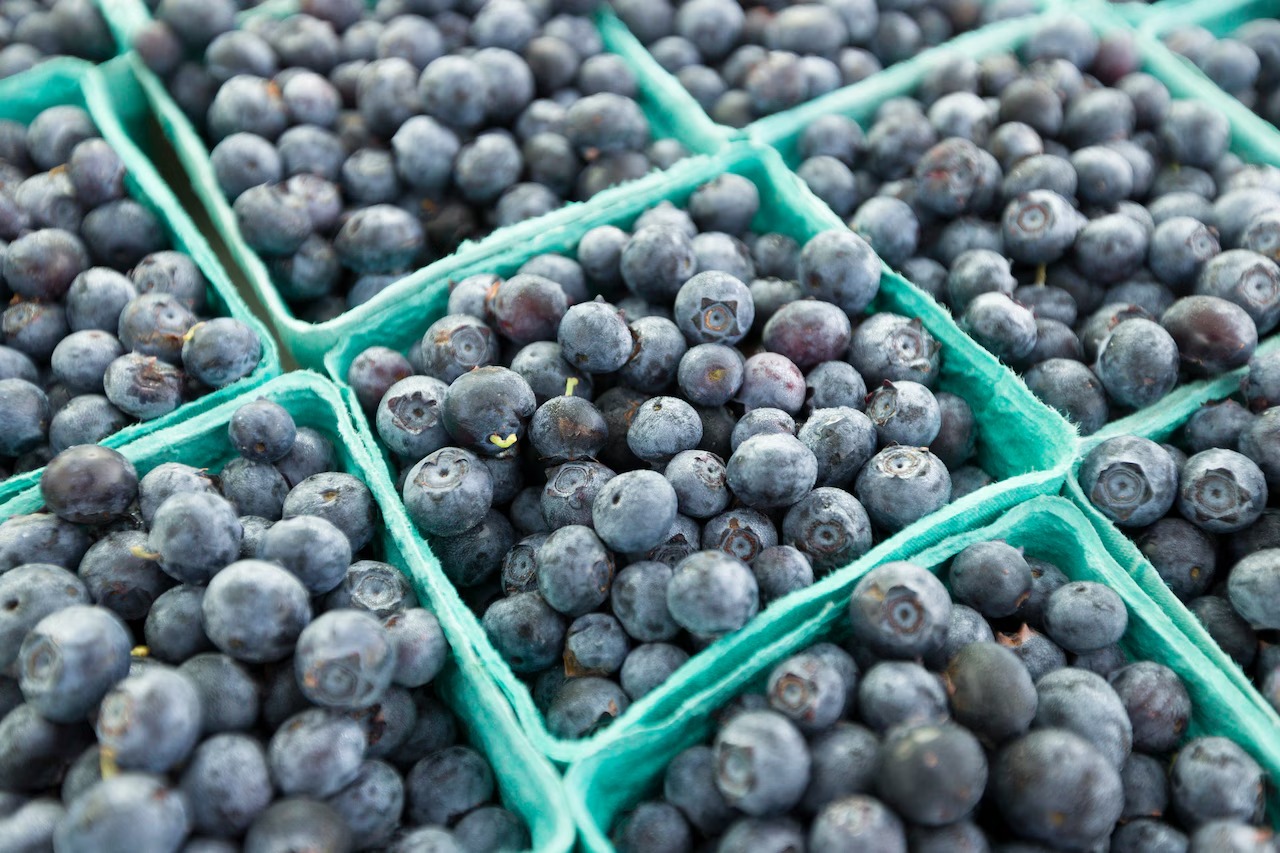 Blueberry boxes recalled in July 2025 listeria scare – FDA issues Class I food warning