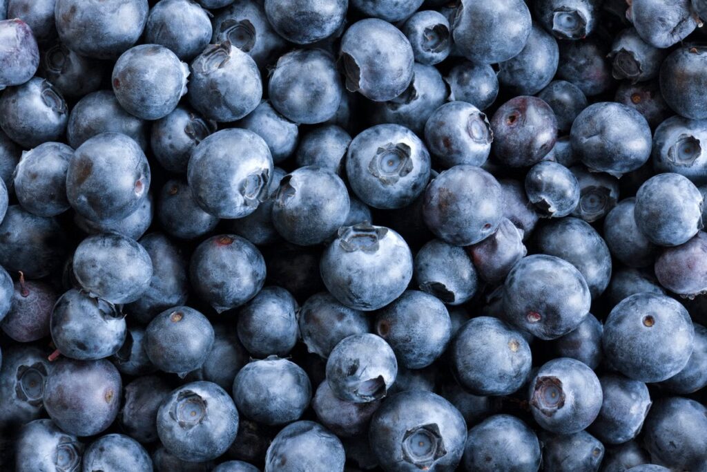 Blueberry boxes recalled in July 2025 listeria scare – FDA issues Class I food warning